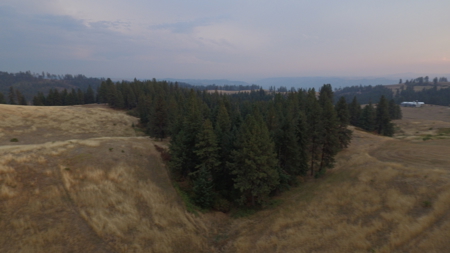 Acreage for Sale in Woodland Region of Kamiah, ID - image 27