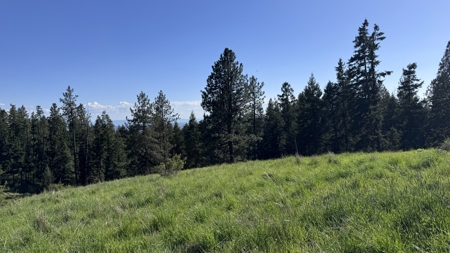 Acreage for Sale in Woodland Region of Kamiah, ID - image 20