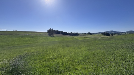 Acreage for Sale in Woodland Region of Kamiah, ID - image 39