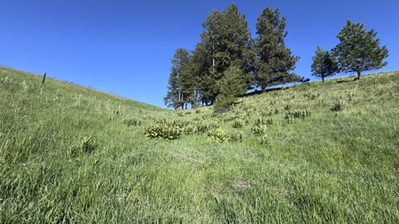 Acreage for Sale in Woodland Region of Kamiah, ID - image 40