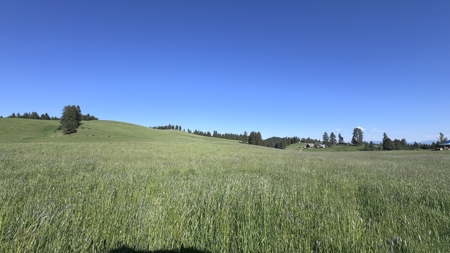 Acreage for Sale in Woodland Region of Kamiah, ID - image 47