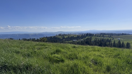Acreage for Sale in Woodland Region of Kamiah, ID - image 30
