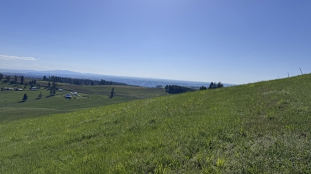 Acreage for Sale in Woodland Region of Kamiah, ID - image 15