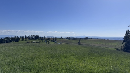Acreage for Sale in Woodland Region of Kamiah, ID - image 12