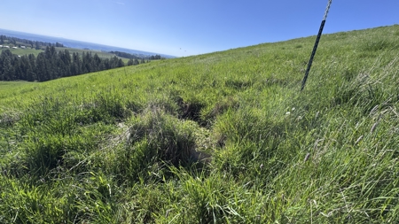 Acreage for Sale in Woodland Region of Kamiah, ID - image 25
