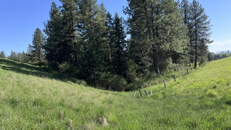 Acreage for Sale in Woodland Region of Kamiah, ID - image 19