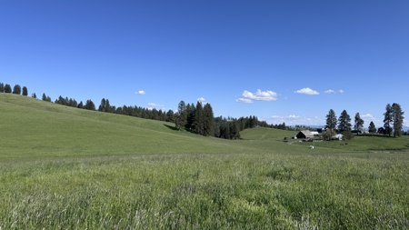 Acreage for Sale in Woodland Region of Kamiah, ID - image 5