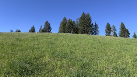 Acreage for Sale in Woodland Region of Kamiah, ID - image 23