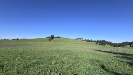 Acreage for Sale in Woodland Region of Kamiah, ID - image 48