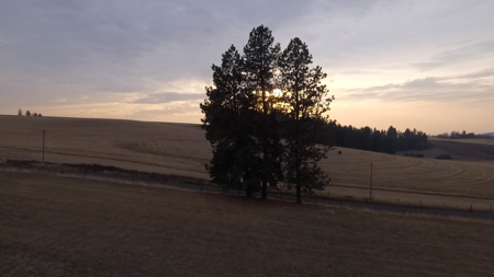 Acreage for Sale in Woodland Region of Kamiah, ID - image 16