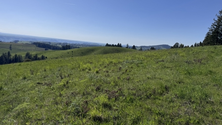 Acreage for Sale in Woodland Region of Kamiah, ID - image 27