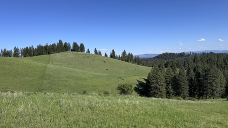 Acreage for Sale in Woodland Region of Kamiah, ID - image 14