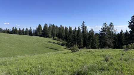 Acreage for Sale in Woodland Region of Kamiah, ID - image 21