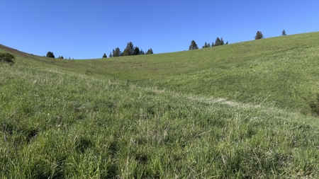 Acreage for Sale in Woodland Region of Kamiah, ID - image 17