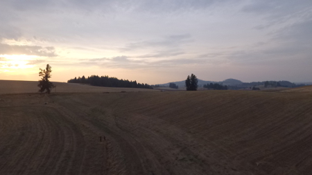 Acreage for Sale in Woodland Region of Kamiah, ID - image 14