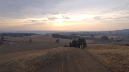 Acreage for Sale in Woodland Region of Kamiah, ID - image 6