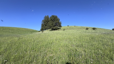 Acreage for Sale in Woodland Region of Kamiah, ID - image 38