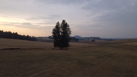 Acreage for Sale in Woodland Region of Kamiah, ID - image 15