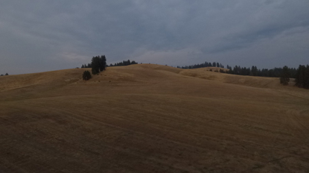 Acreage for Sale in Woodland Region of Kamiah, ID - image 11
