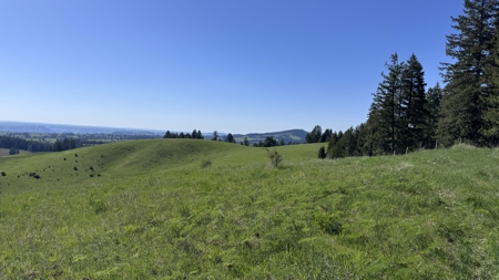 Acreage for Sale in Woodland Region of Kamiah, ID - image 9