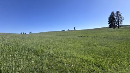 Acreage for Sale in Woodland Region of Kamiah, ID - image 42