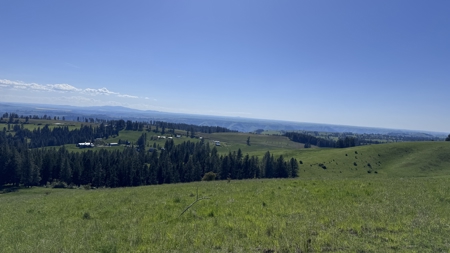 Acreage for Sale in Woodland Region of Kamiah, ID - image 8