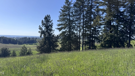 Acreage for Sale in Woodland Region of Kamiah, ID - image 31