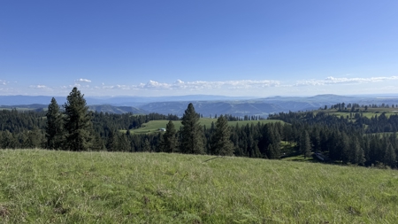 Acreage for Sale in Woodland Region of Kamiah, ID - image 28