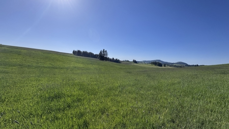 Acreage for Sale in Woodland Region of Kamiah, ID - image 36