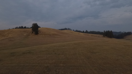 Acreage for Sale in Woodland Region of Kamiah, ID - image 10