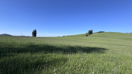 Acreage for Sale in Woodland Region of Kamiah, ID - image 49