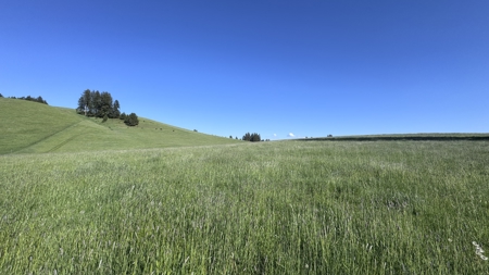 Acreage for Sale in Woodland Region of Kamiah, ID - image 44