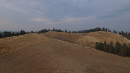 Acreage for Sale in Woodland Region of Kamiah, ID - image 3