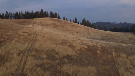 Acreage for Sale in Woodland Region of Kamiah, ID - image 26