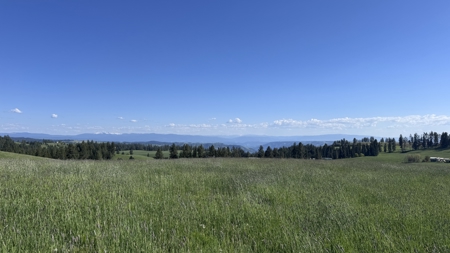 Acreage for Sale in Woodland Region of Kamiah, ID - image 11