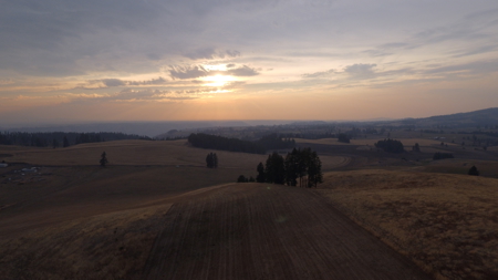 Acreage for Sale in Woodland Region of Kamiah, ID - image 5