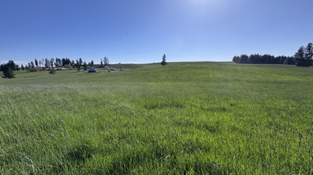 Acreage for Sale in Woodland Region of Kamiah, ID - image 35