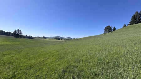 Acreage for Sale in Woodland Region of Kamiah, ID - image 33