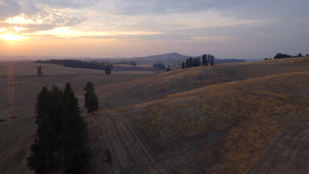 Acreage for Sale in Woodland Region of Kamiah, ID - image 19