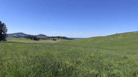 Acreage for Sale in Woodland Region of Kamiah, ID - image 2