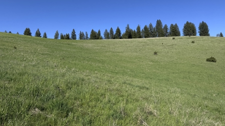 Acreage for Sale in Woodland Region of Kamiah, ID - image 22