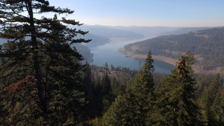 Private Wooded Retreat for Sale in Orofino, Idaho - image 12