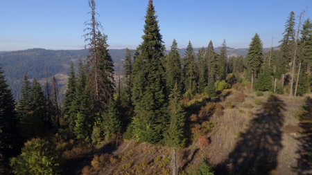 Private Wooded Retreat for Sale in Orofino, Idaho - image 25