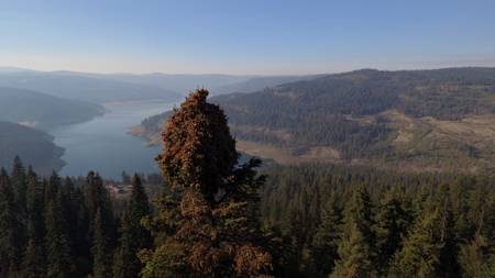 Private Wooded Retreat for Sale in Orofino, Idaho - image 19