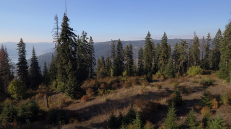 Private Wooded Retreat for Sale in Orofino, Idaho - image 21