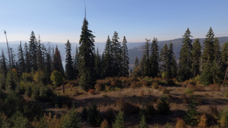 Private Wooded Retreat for Sale in Orofino, Idaho - image 22