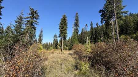 Private Wooded Retreat for Sale in Orofino, Idaho - image 33