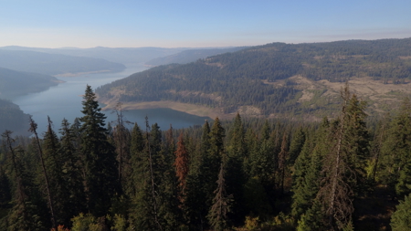 Private Wooded Retreat for Sale in Orofino, Idaho - image 28