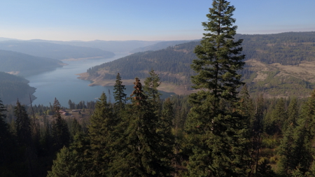 Private Wooded Retreat for Sale in Orofino, Idaho - image 16