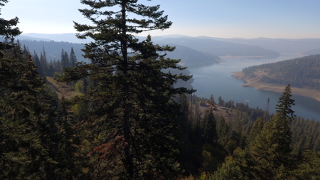 Private Wooded Retreat for Sale in Orofino, Idaho - image 11